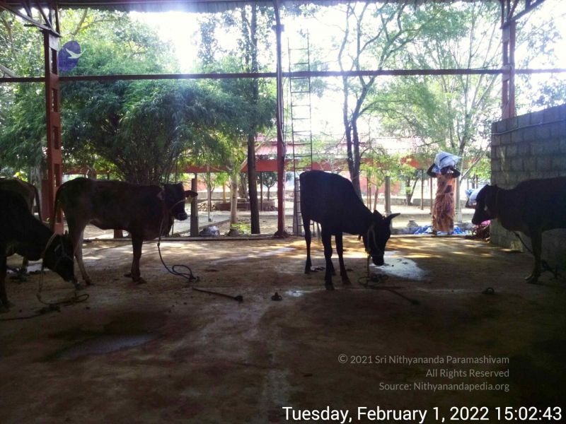 File:20220201 150242.jpg