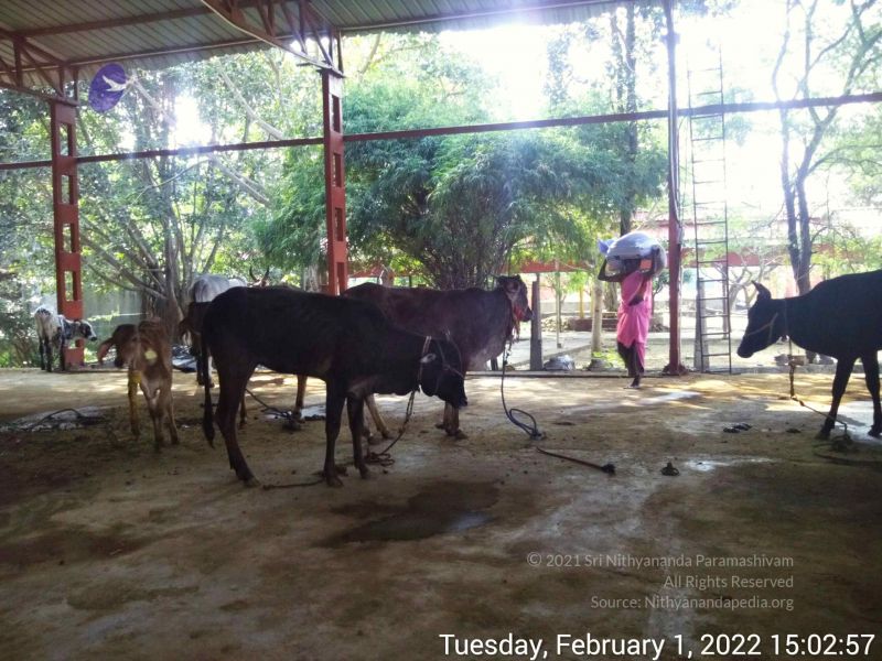 File:20220201 150256.jpg