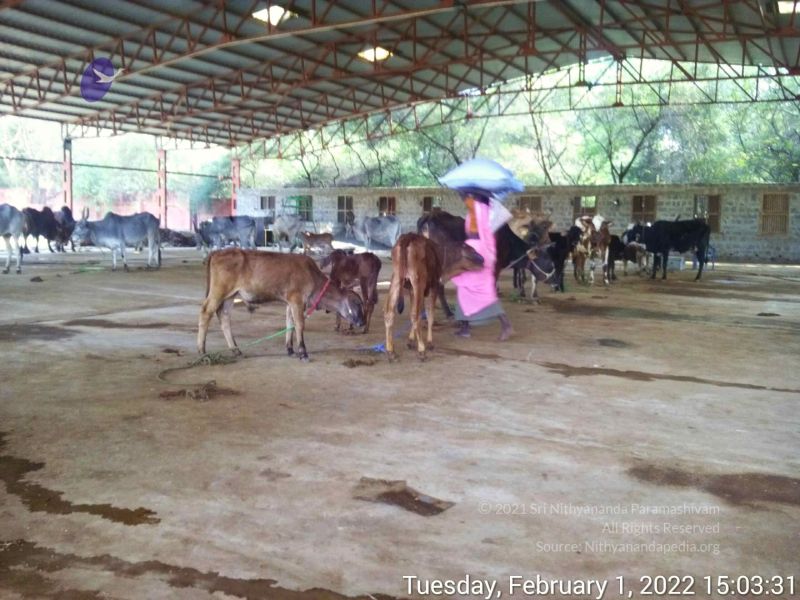 File:20220201 150331.jpg