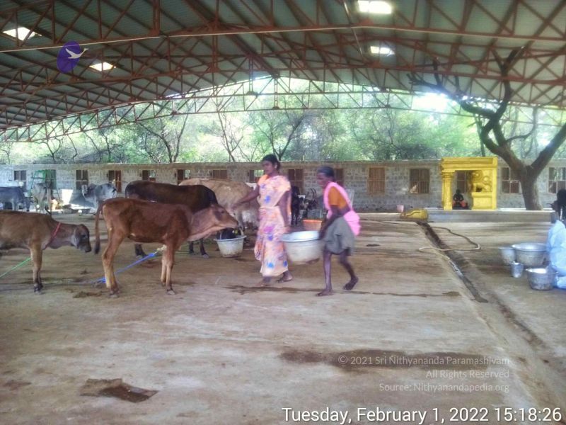 File:20220201 151826.jpg