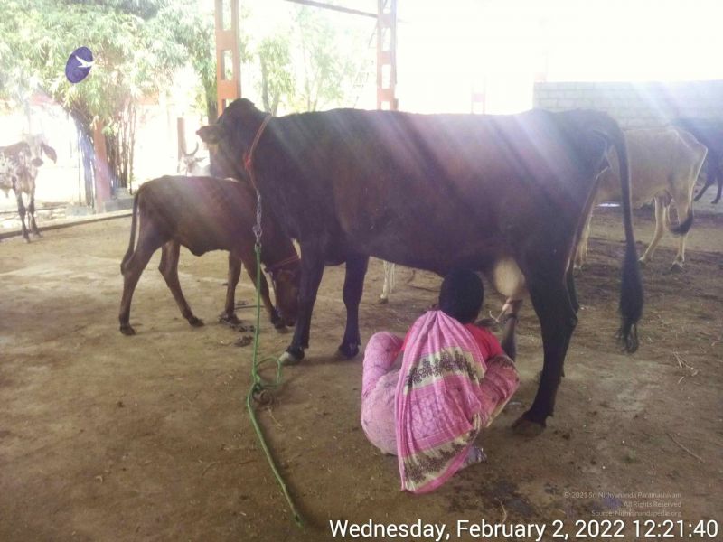 File:20220202 122140.jpg