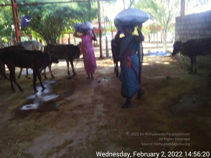 File:20220202 145619.jpg