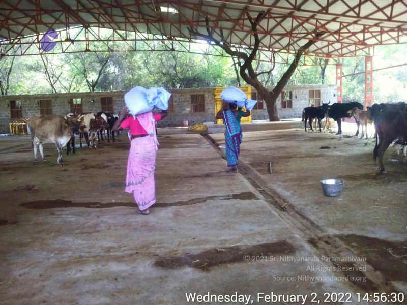 File:20220202 145629.jpg