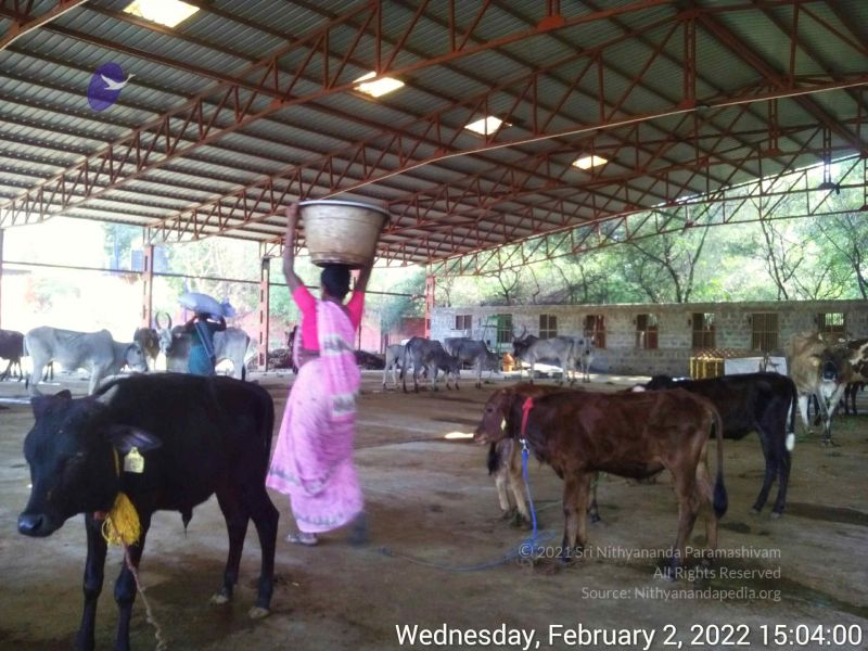 File:20220202 150400.jpg