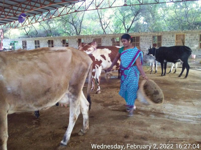 File:20220202 162703.jpg