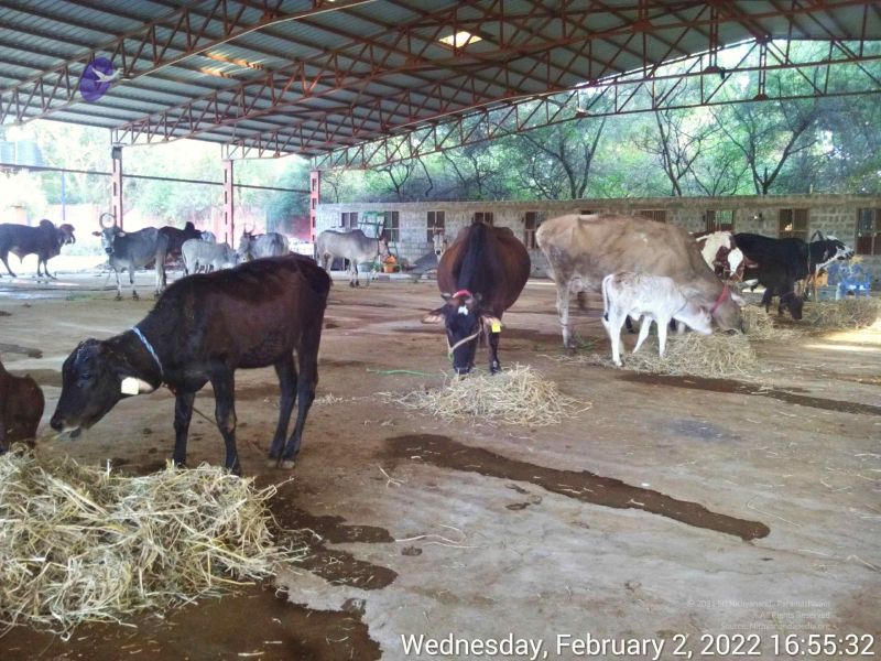 File:20220202 165531.jpg