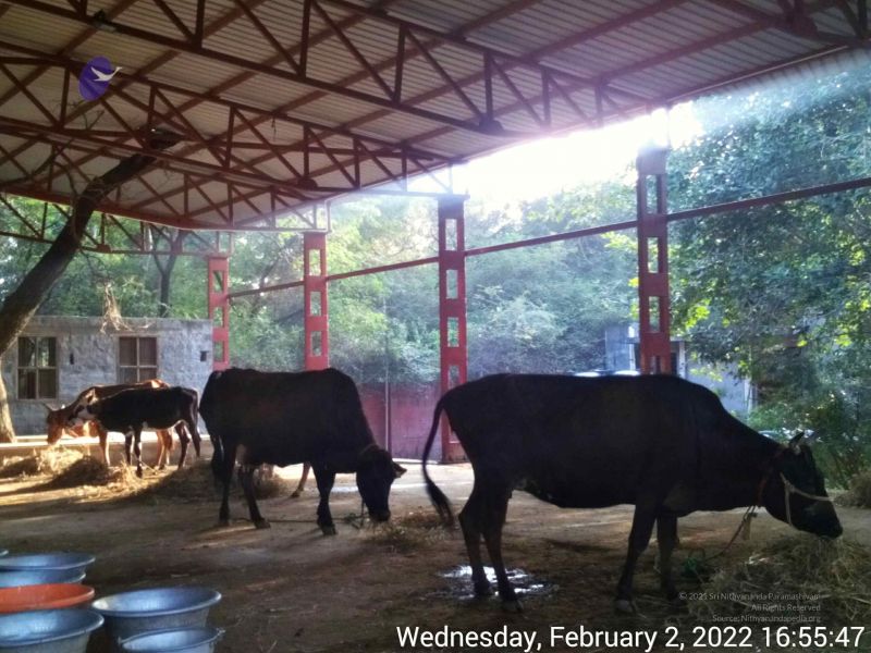 File:20220202 165547.jpg