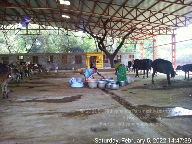 File:20220205 144739.jpg