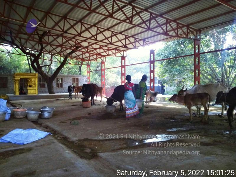 File:20220205 150124.jpg