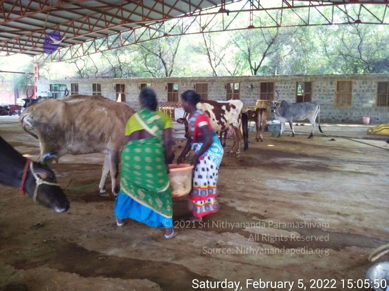 File:20220205 150549.jpg