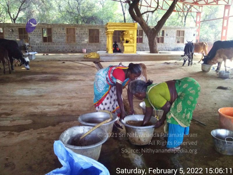 File:20220205 150611.jpg