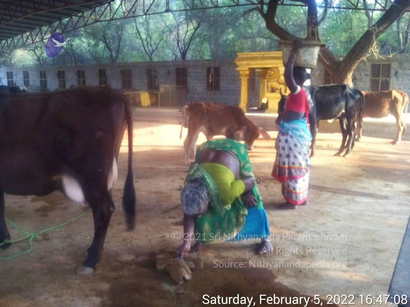 File:20220205 164708.jpg