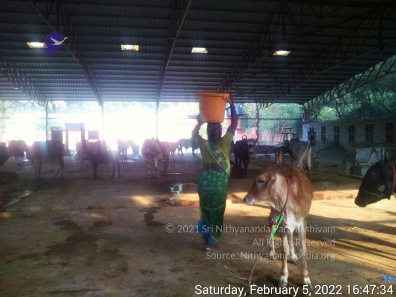 File:20220205 164734.jpg