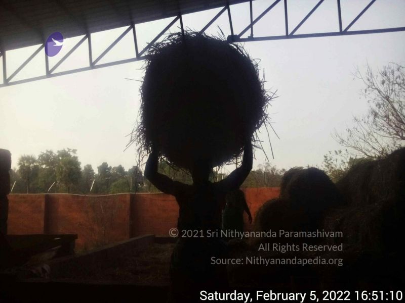 File:20220205 165110.jpg