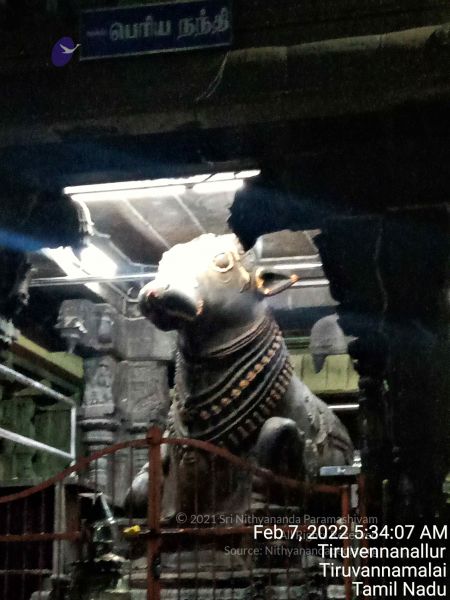 File:20220207 053407.jpg