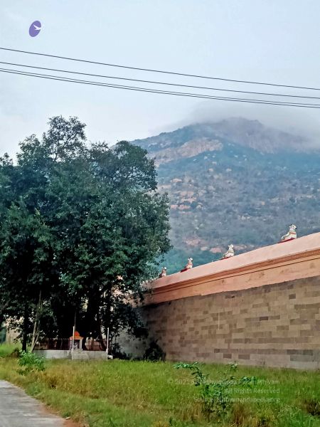 File:20220207 064040.jpg