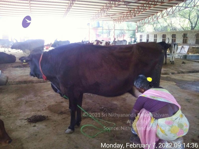 File:20220207 091436.jpg