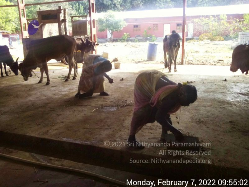 File:20220207 095501.jpg