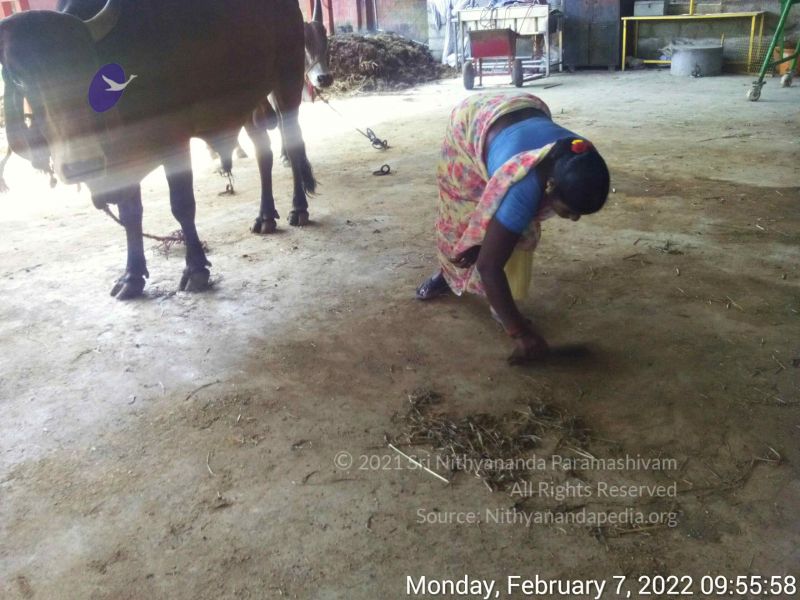 File:20220207 095558.jpg