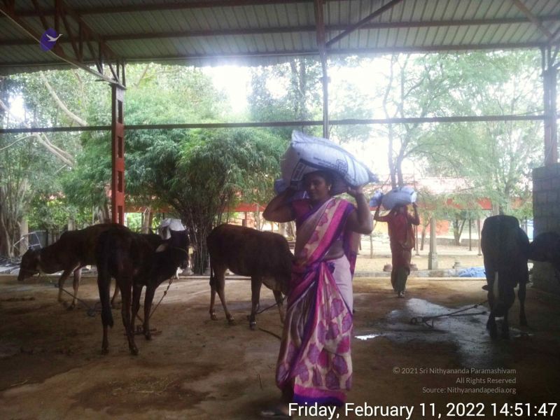 File:20220211 145147.jpg