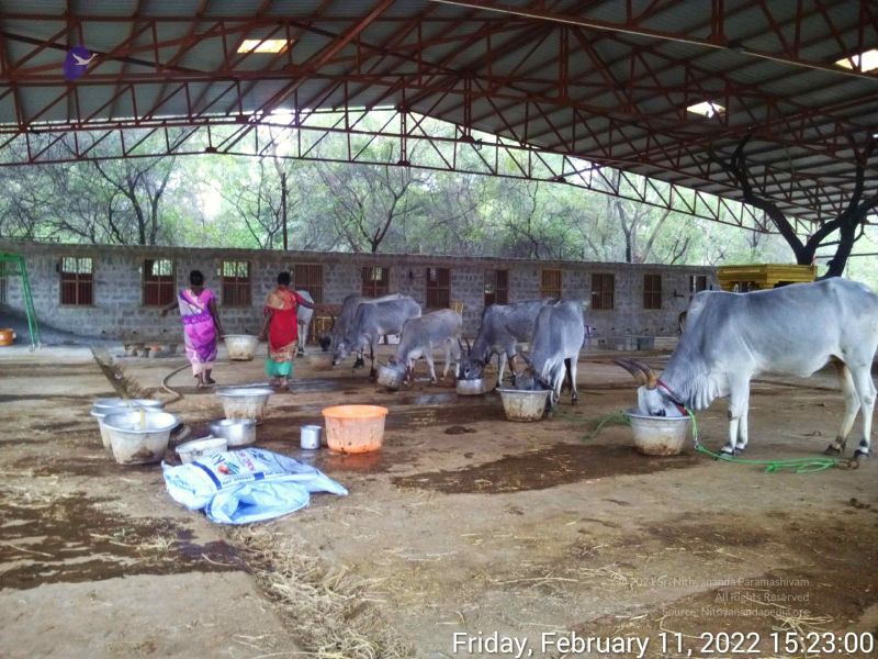 File:20220211 152300.jpg