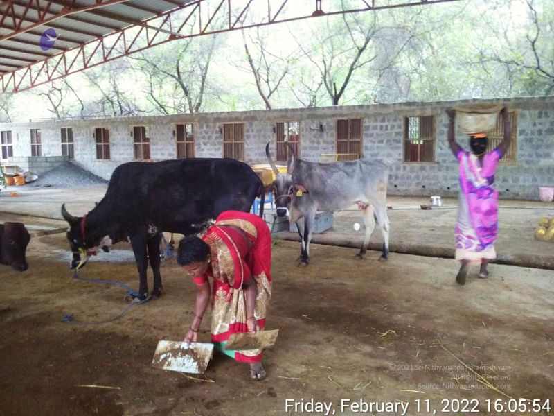 File:20220211 160553.jpg