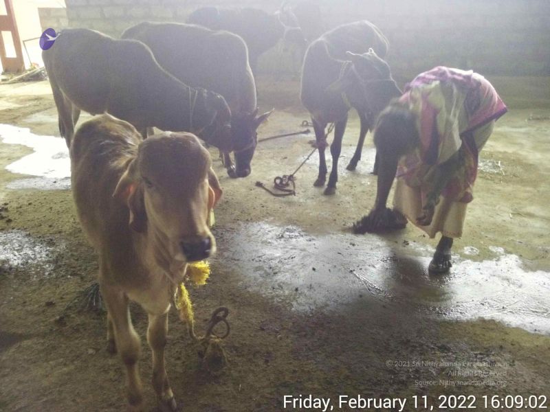 File:20220211 160902.jpg