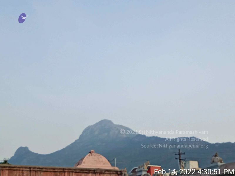 File:20220214 163051.jpg