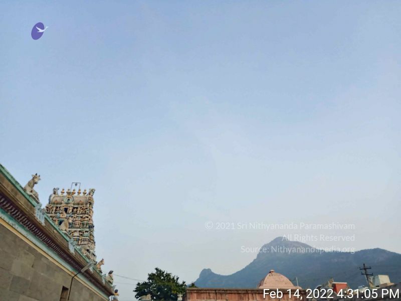 File:20220214 163105.jpg