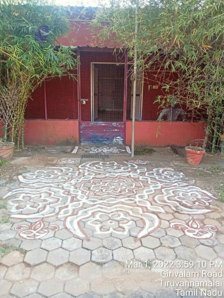 File:20220301 155910.jpg