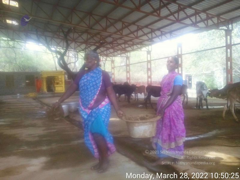 File:20220328 105024.jpg