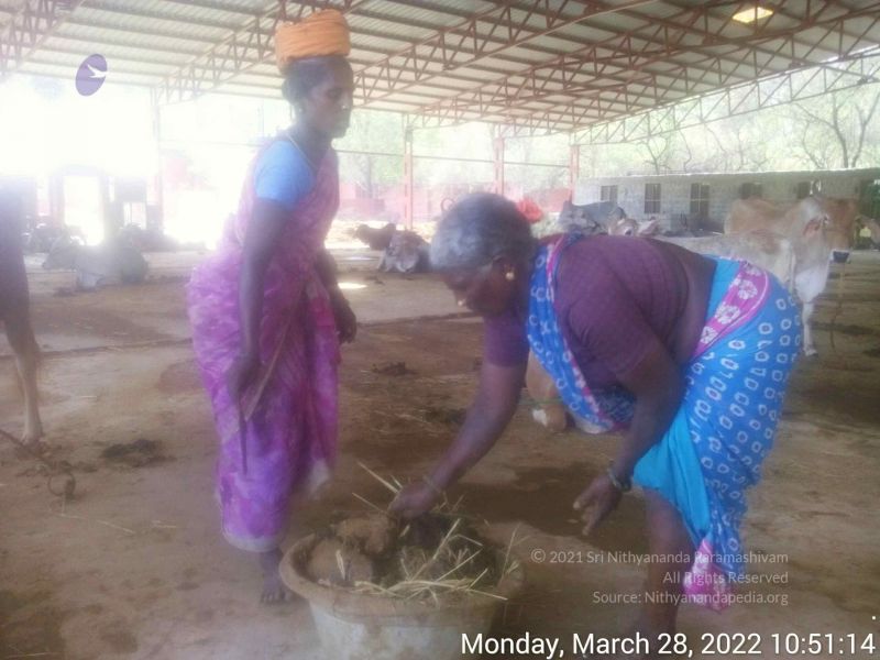 File:20220328 105114.jpg