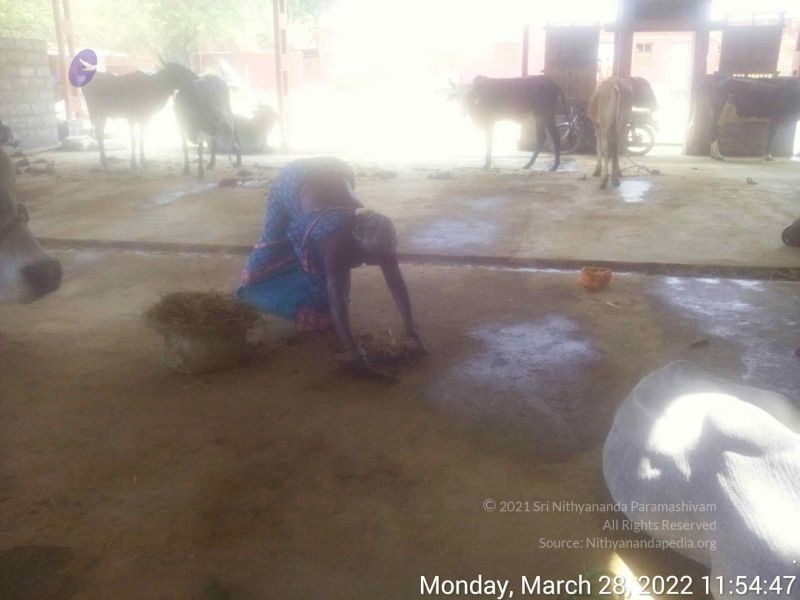 File:20220328 115447.jpg