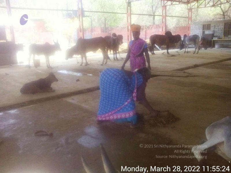 File:20220328 115523.jpg