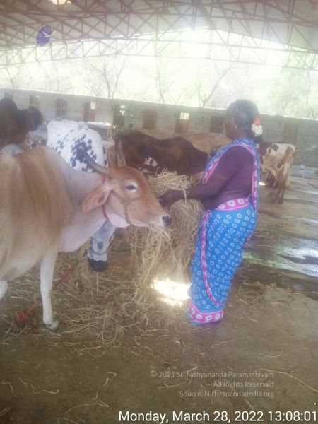 File:20220328 130800.jpg