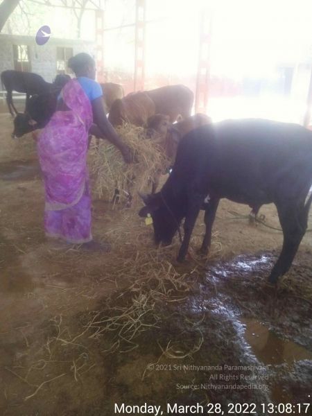 File:20220328 130817.jpg