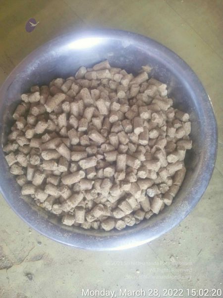 File:20220328 150220.jpg