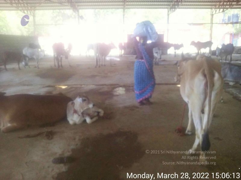 File:20220328 150612.jpg