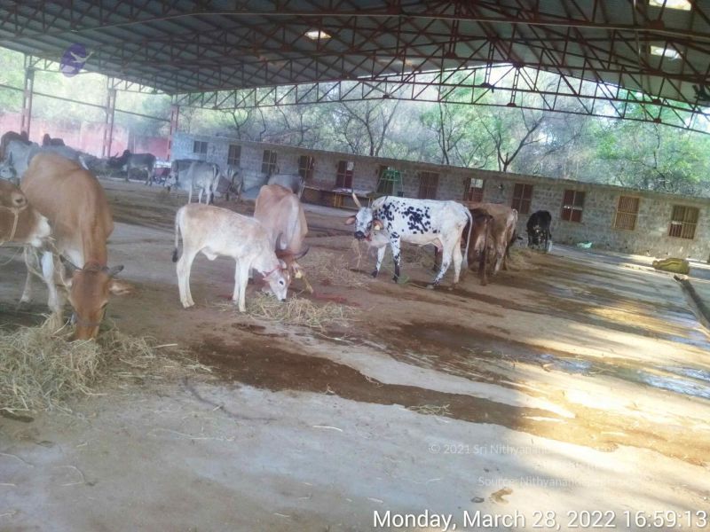 File:20220328 165913.jpg