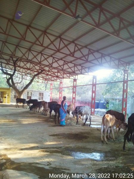 File:20220328 170224.jpg