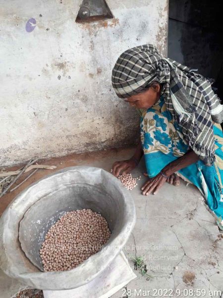 File:20220328 kacharapattu2022-03-29 at 1.49.31 PM.jpg