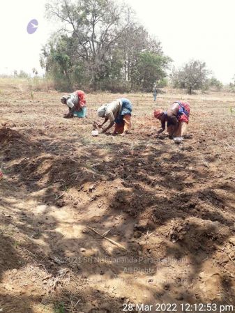 20220328 kacharapattu2022-03-29 at 1.49.32 PM.jpg