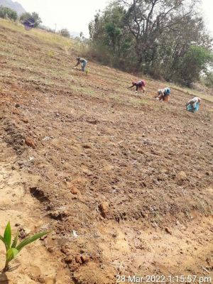 20220328 kacharapattu2022-03-29 at 1.49.33 PM.jpg