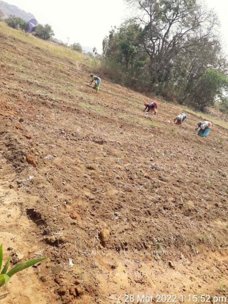 File:20220328 kacharapattu2022-03-29 at 1.49.34 PM.jpg