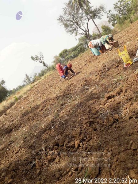 File:20220328 kacharapattu2022-03-29 at 1.49.35 PM.jpg