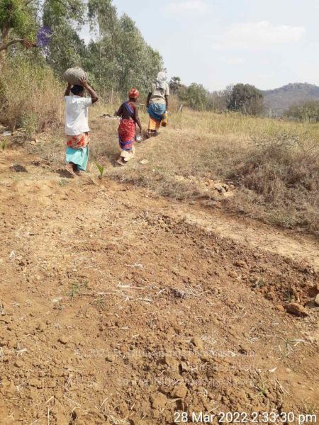 File:20220328 kacharapattu2022-03-29 at 1.49.35 PM (1).jpg