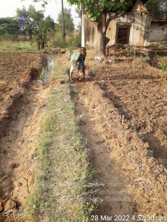 20220328 kacharapattu2022-03-29 at 1.49.37 PM.jpg