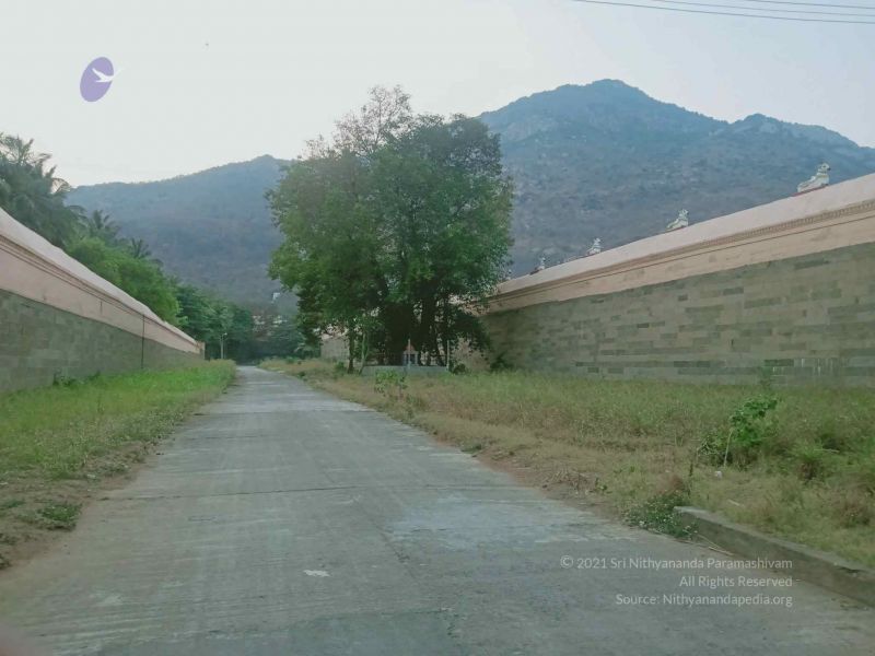 File:20220328 templevisit 3.jpg