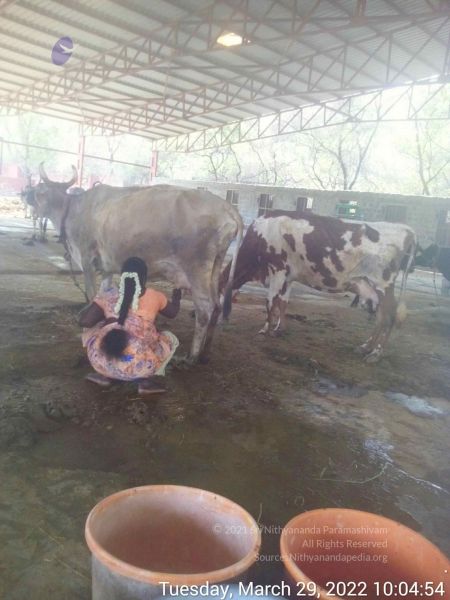 File:20220329 100453.jpg