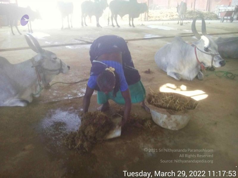 File:20220329 111753.jpg